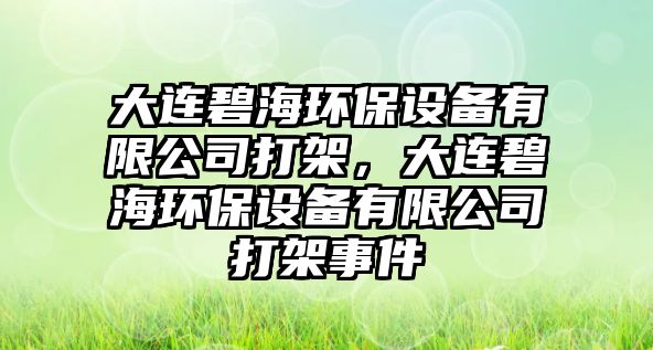大連碧海環(huán)保設備有限公司打架，大連碧海環(huán)保設備有限公司打架事件