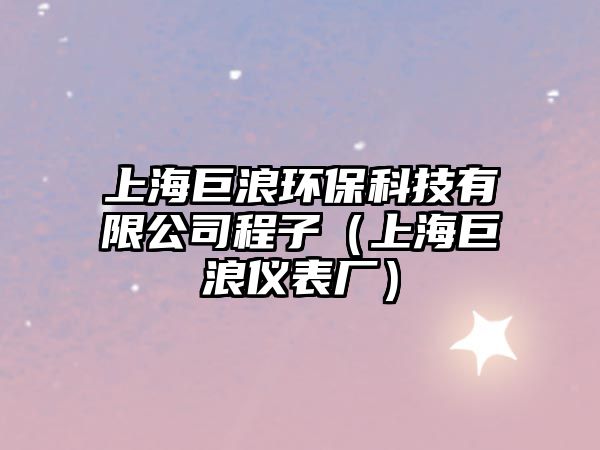 上海巨浪環(huán)?？萍加邢薰境套樱ㄉ虾＞蘩藘x表廠）