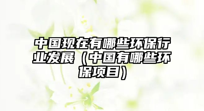 中國現在有哪些環(huán)保行業(yè)發(fā)展（中國有哪些環(huán)保項目）
