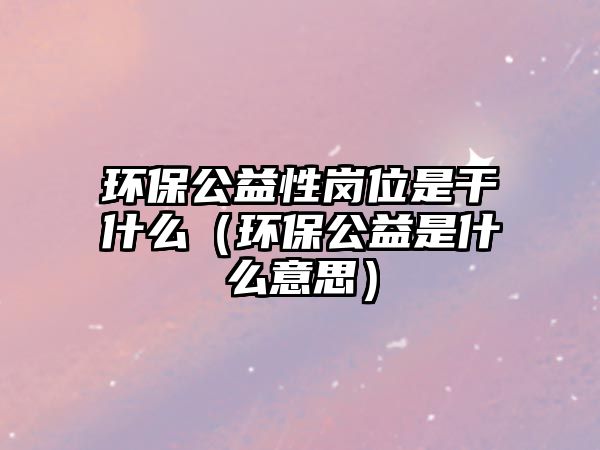 環(huán)保公益性崗位是干什么（環(huán)保公益是什么意思）