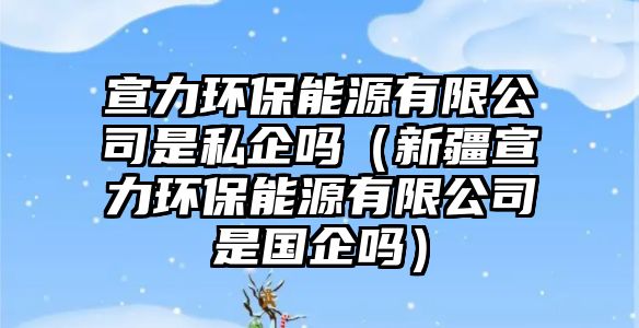 宣力環(huán)保能源有限公司是私企嗎（新疆宣力環(huán)保能源有限公司是國(guó)企嗎）
