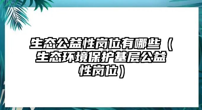 生態(tài)公益性崗位有哪些（生態(tài)環(huán)境保護(hù)基層公益性崗位）