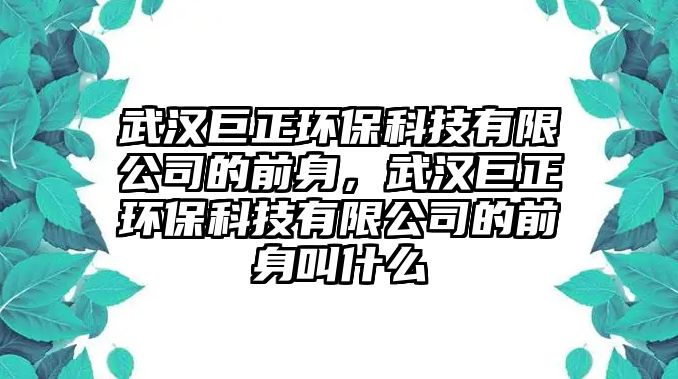 武漢巨正環(huán)?？萍加邢薰镜那吧恚錆h巨正環(huán)?？萍加邢薰镜那吧斫惺裁? class=