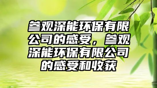 參觀深能環(huán)保有限公司的感受，參觀深能環(huán)保有限公司的感受和收獲