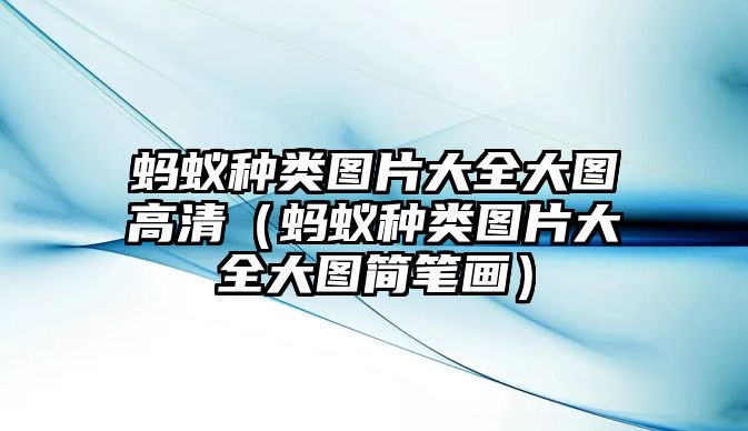螞蟻種類圖片大全大圖高清（螞蟻種類圖片大全大圖簡(jiǎn)筆畫）