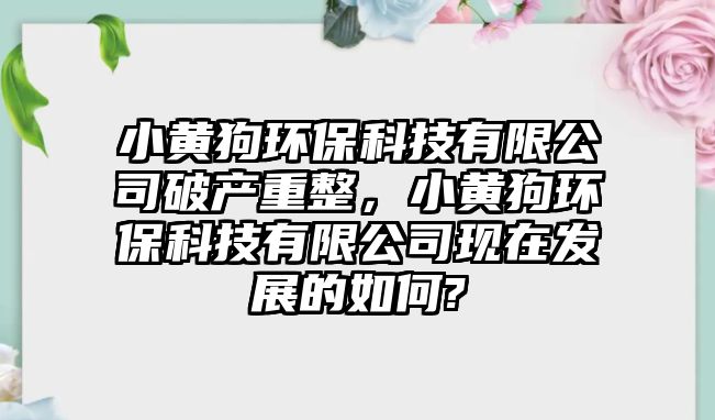 小黃狗環(huán)?？萍加邢薰酒飘a(chǎn)重整，小黃狗環(huán)?？萍加邢薰粳F(xiàn)在發(fā)展的如何?