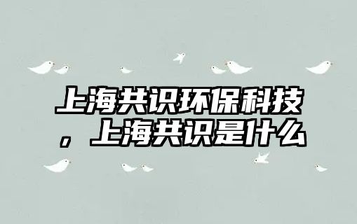 上海共識(shí)環(huán)?？萍?，上海共識(shí)是什么