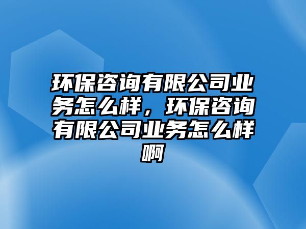 環(huán)保咨詢(xún)有限公司業(yè)務(wù)怎么樣，環(huán)保咨詢(xún)有限公司業(yè)務(wù)怎么樣啊