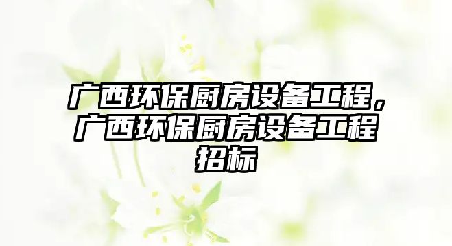 廣西環(huán)保廚房設(shè)備工程，廣西環(huán)保廚房設(shè)備工程招標(biāo)