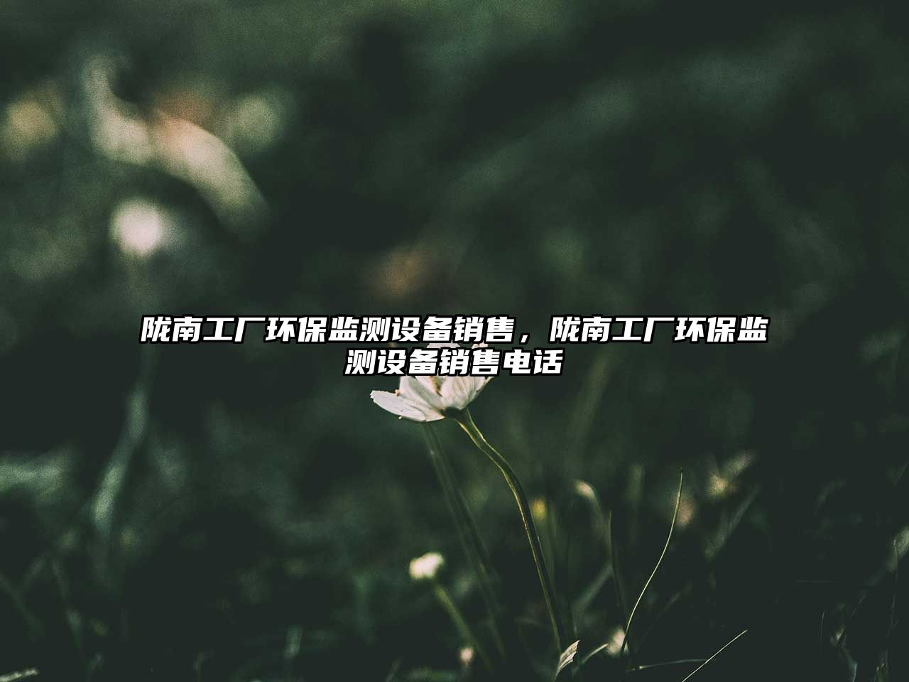 隴南工廠環(huán)保監(jiān)測設(shè)備銷售，隴南工廠環(huán)保監(jiān)測設(shè)備銷售電話