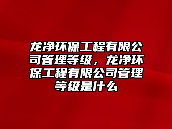 龍凈環(huán)保工程有限公司管理等級(jí)，龍凈環(huán)保工程有限公司管理等級(jí)是什么