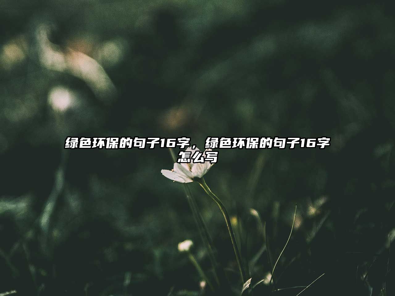 綠色環(huán)保的句子16字，綠色環(huán)保的句子16字怎么寫
