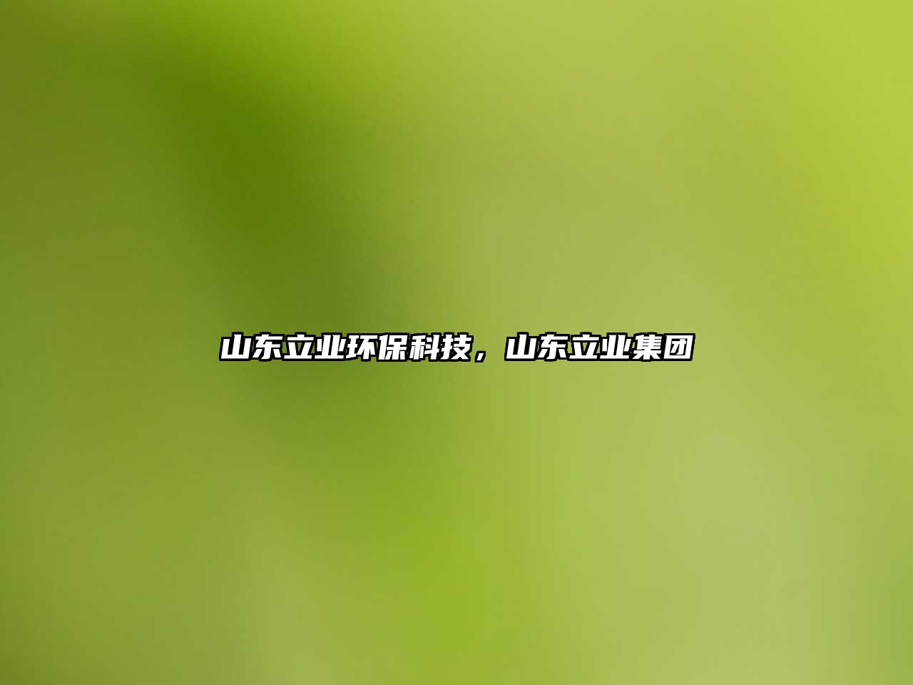 山東立業(yè)環(huán)?？萍迹綎|立業(yè)集團(tuán)