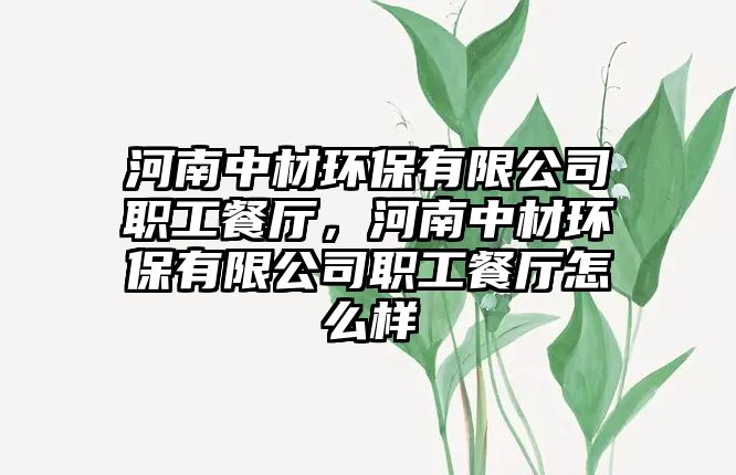 河南中材環(huán)保有限公司職工餐廳，河南中材環(huán)保有限公司職工餐廳怎么樣