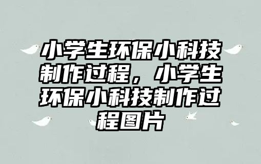 小學(xué)生環(huán)保小科技制作過(guò)程，小學(xué)生環(huán)保小科技制作過(guò)程圖片
