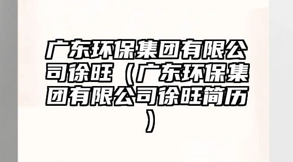 廣東環(huán)保集團有限公司徐旺（廣東環(huán)保集團有限公司徐旺簡歷）
