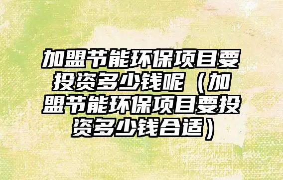加盟節(jié)能環(huán)保項(xiàng)目要投資多少錢(qián)呢（加盟節(jié)能環(huán)保項(xiàng)目要投資多少錢(qián)合適）