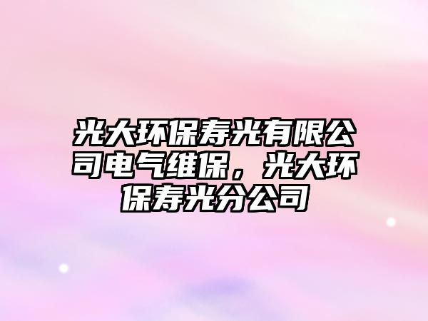 光大環(huán)保壽光有限公司電氣維保，光大環(huán)保壽光分公司