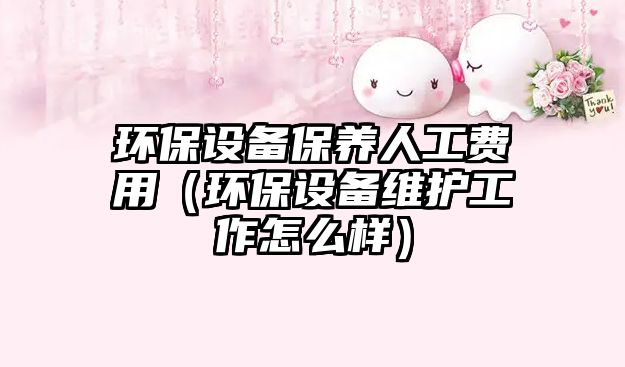環(huán)保設(shè)備保養(yǎng)人工費用（環(huán)保設(shè)備維護(hù)工作怎么樣）