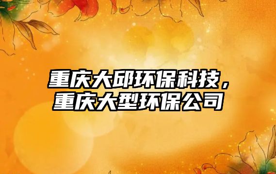 重慶大邱環(huán)?？萍?，重慶大型環(huán)保公司
