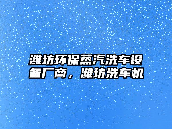 濰坊環(huán)保蒸汽洗車設備廠商，濰坊洗車機