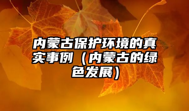 內(nèi)蒙古保護環(huán)境的真實事例（內(nèi)蒙古的綠色發(fā)展）