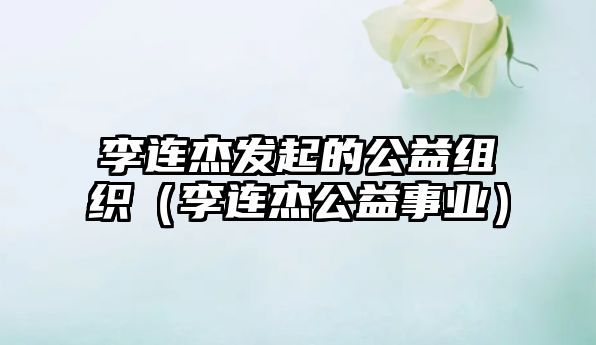 李連杰發(fā)起的公益組織（李連杰公益事業(yè)）