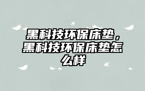 黑科技環(huán)保床墊，黑科技環(huán)保床墊怎么樣