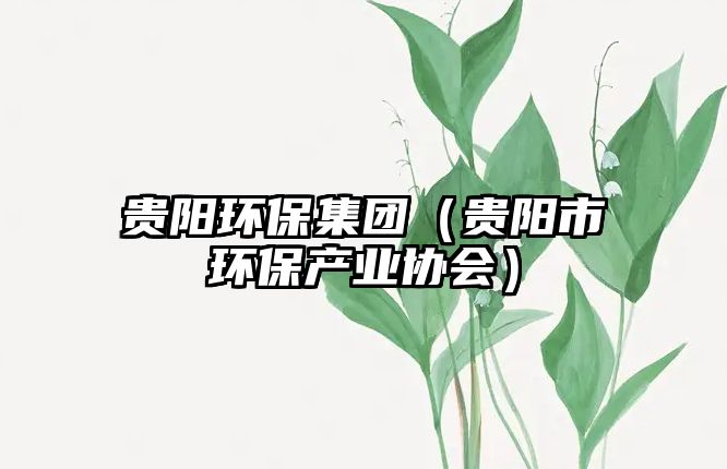 貴陽(yáng)環(huán)保集團(tuán)（貴陽(yáng)市環(huán)保產(chǎn)業(yè)協(xié)會(huì)）