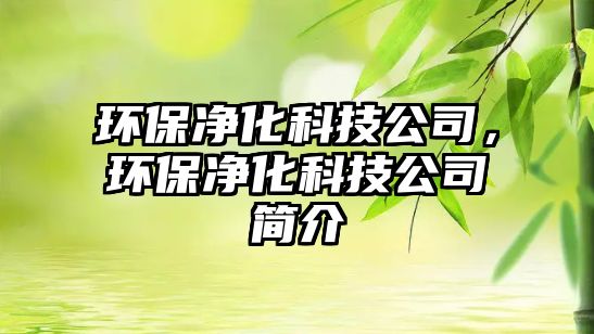 環(huán)保凈化科技公司，環(huán)保凈化科技公司簡介