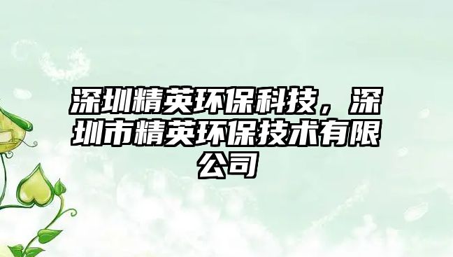 深圳精英環(huán)?？萍迹钲谑芯h(huán)保技術(shù)有限公司