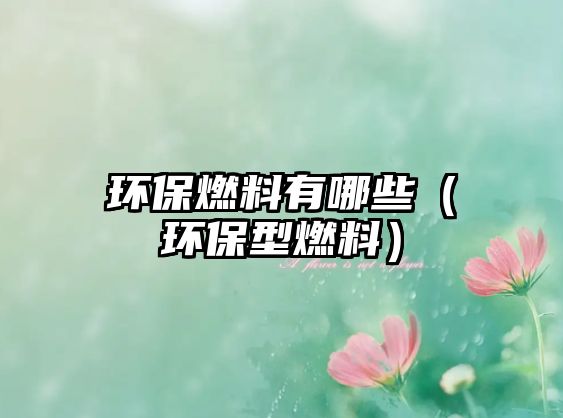 環(huán)保燃料有哪些（環(huán)保型燃料）