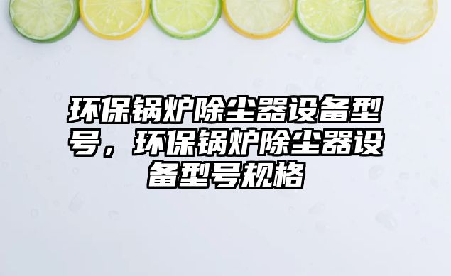 環(huán)保鍋爐除塵器設備型號，環(huán)保鍋爐除塵器設備型號規(guī)格