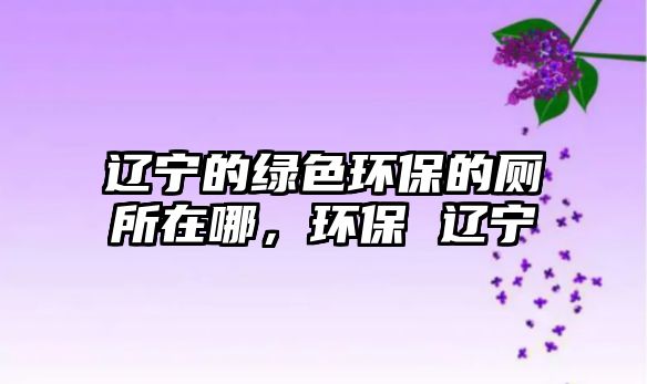 遼寧的綠色環(huán)保的廁所在哪，環(huán)保 遼寧