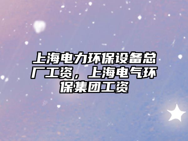 上海電力環(huán)保設(shè)備總廠工資，上海電氣環(huán)保集團(tuán)工資