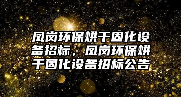 鳳崗環(huán)保烘干固化設(shè)備招標(biāo)，鳳崗環(huán)保烘干固化設(shè)備招標(biāo)公告