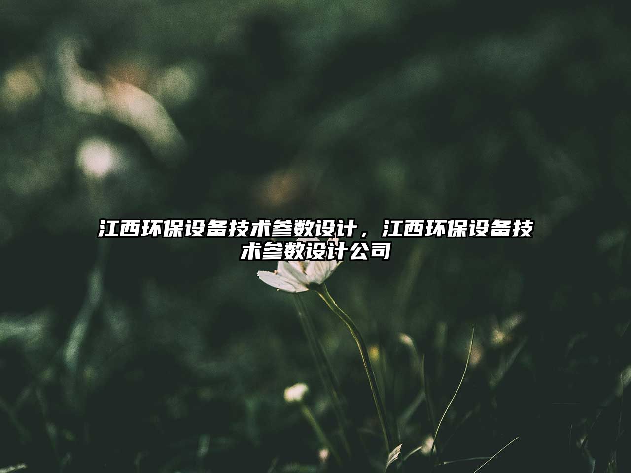 江西環(huán)保設(shè)備技術(shù)參數(shù)設(shè)計(jì)，江西環(huán)保設(shè)備技術(shù)參數(shù)設(shè)計(jì)公司