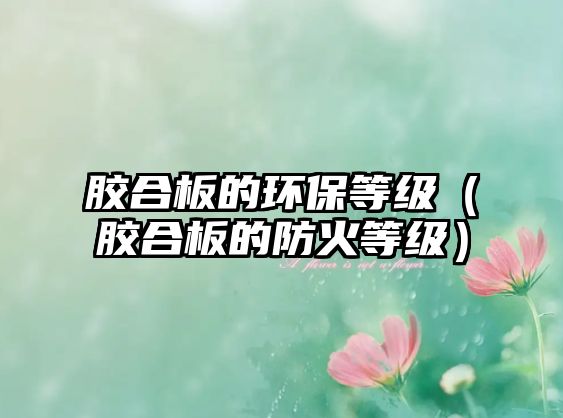 膠合板的環(huán)保等級（膠合板的防火等級）