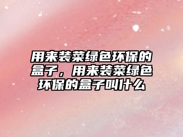 用來裝菜綠色環(huán)保的盒子，用來裝菜綠色環(huán)保的盒子叫什么