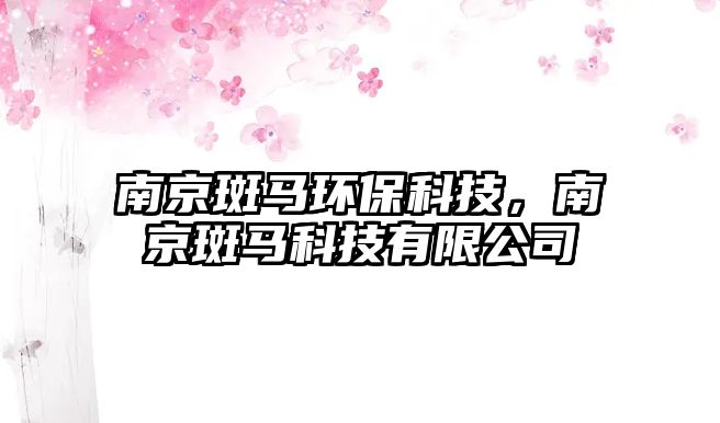 南京斑馬環(huán)?？萍迹暇┌唏R科技有限公司