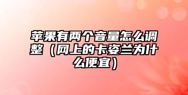 蘋果有兩個(gè)音量怎么調(diào)整（網(wǎng)上的卡姿蘭為什么便宜）