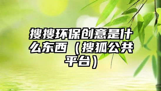 搜搜環(huán)保創(chuàng)意是什么東西（搜狐公共平臺(tái)）