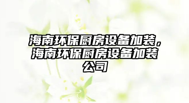 海南環(huán)保廚房設(shè)備加裝，海南環(huán)保廚房設(shè)備加裝公司