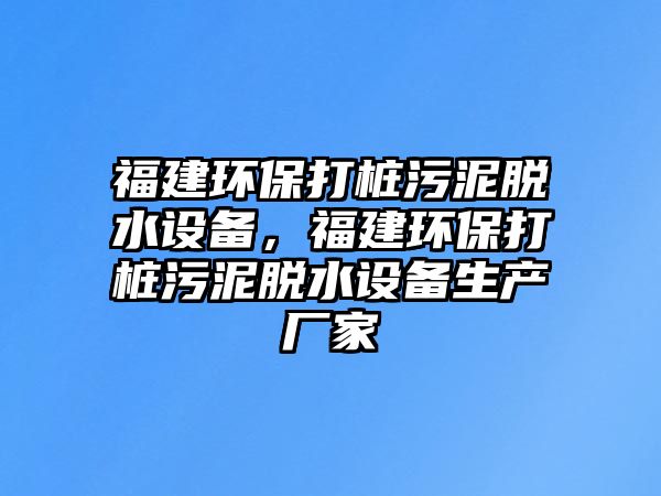 福建環(huán)保打樁污泥脫水設(shè)備，福建環(huán)保打樁污泥脫水設(shè)備生產(chǎn)廠家