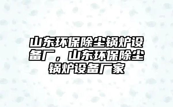 山東環(huán)保除塵鍋爐設(shè)備廠，山東環(huán)保除塵鍋爐設(shè)備廠家