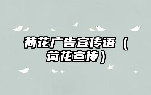 荷花廣告宣傳語（荷花宣傳）