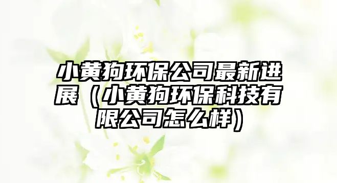 小黃狗環(huán)保公司最新進展（小黃狗環(huán)?？萍加邢薰驹趺礃樱?/> 
									</a>
									<h4 class=