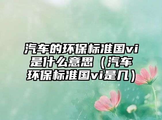 汽車的環(huán)保標(biāo)準(zhǔn)國(guó)vi是什么意思（汽車環(huán)保標(biāo)準(zhǔn)國(guó)vi是幾）