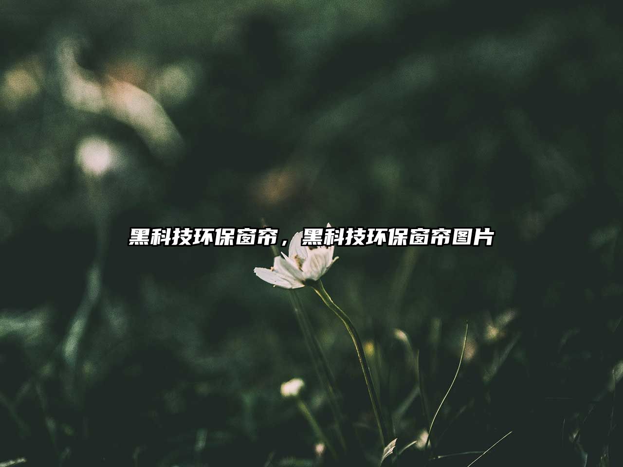 黑科技環(huán)保窗簾，黑科技環(huán)保窗簾圖片