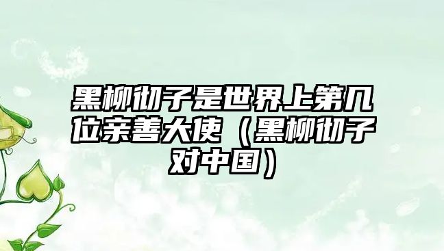 黑柳徹子是世界上第幾位親善大使（黑柳徹子對中國）